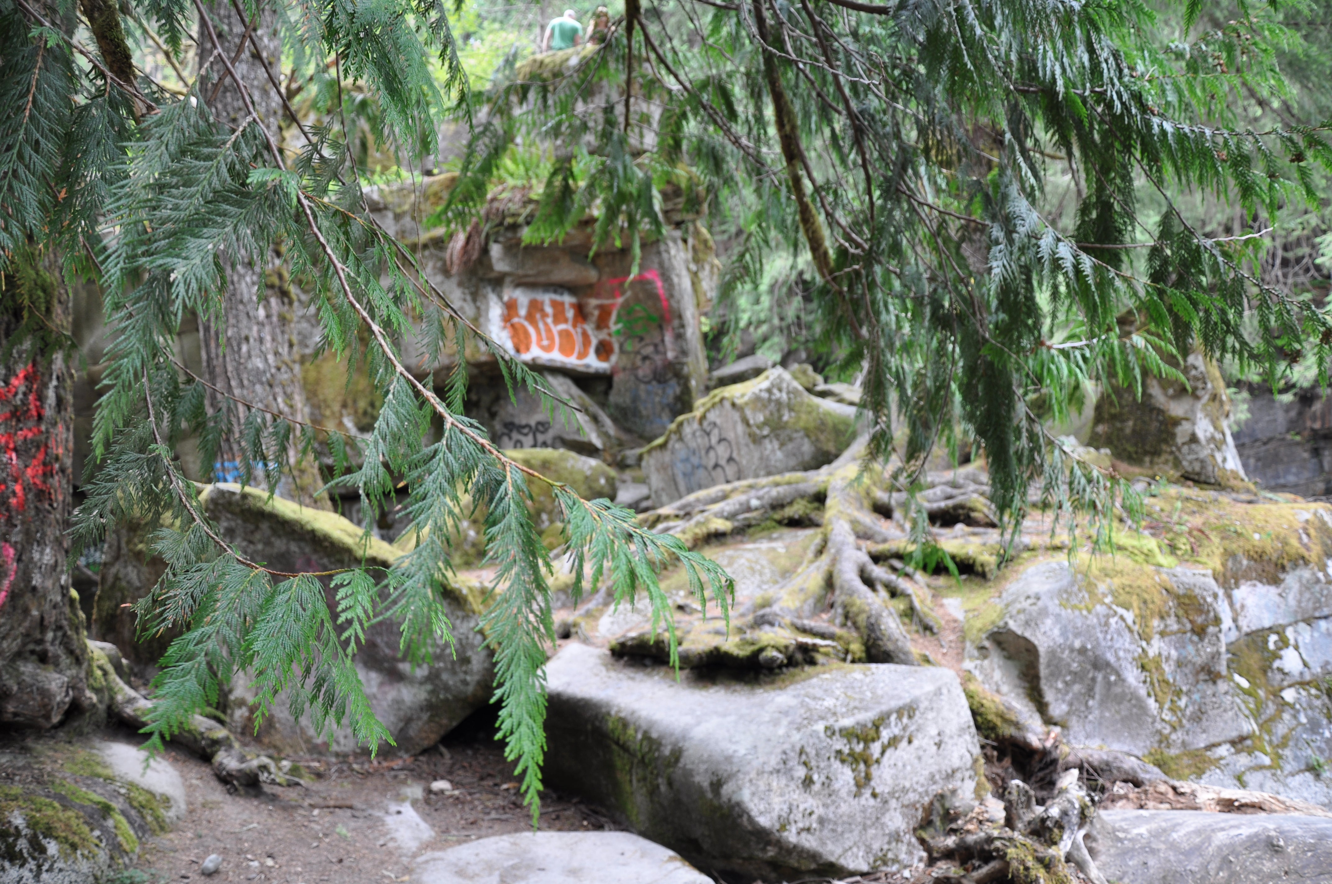 Olympic National Park Tour from Seattle Experience Olympic National Park Tour from Seattle Experience