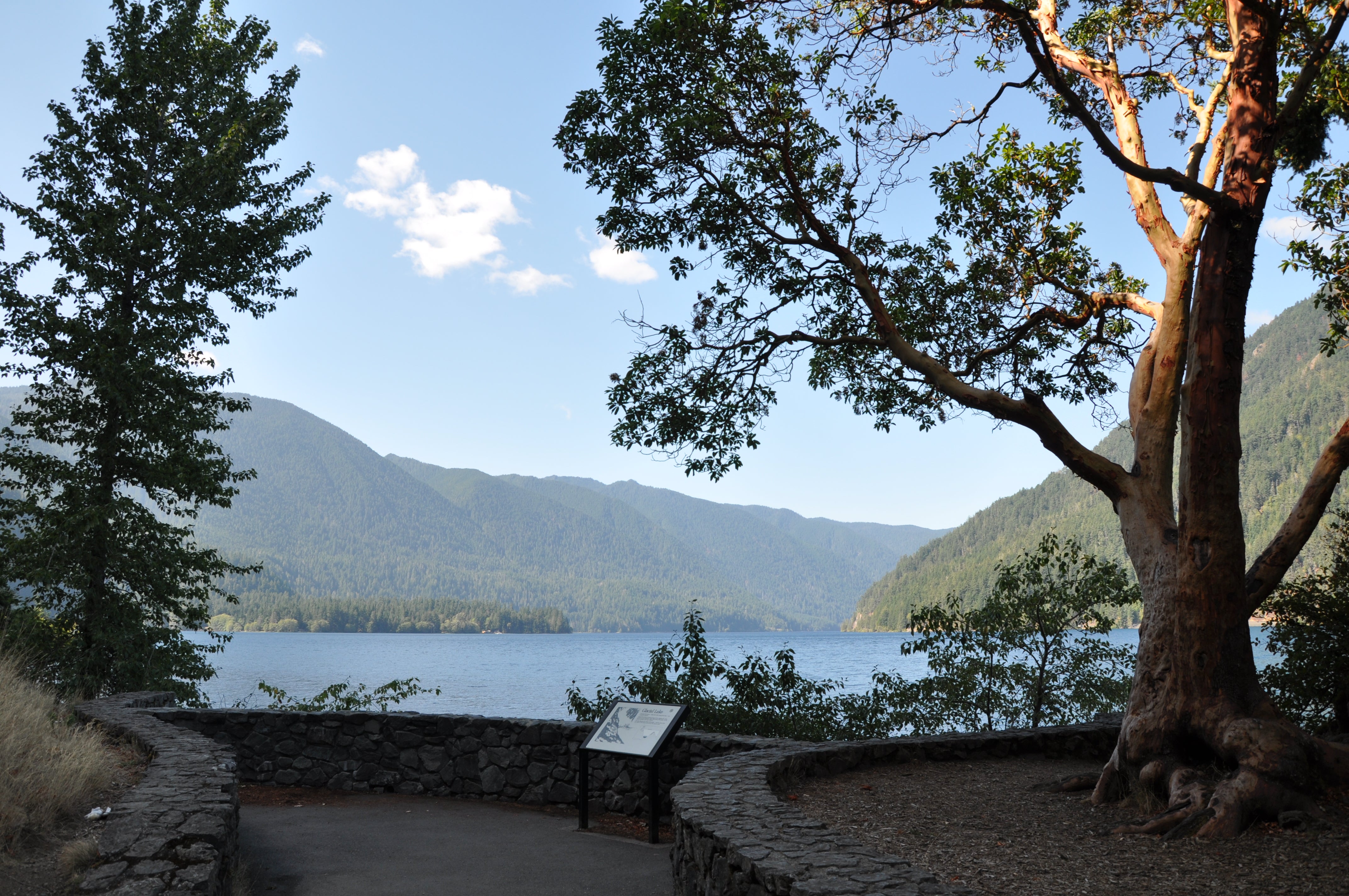 Olympic National Park Tour Exploring Uncharted Territories Olympic National Park Tour Exploring Uncharted Territories