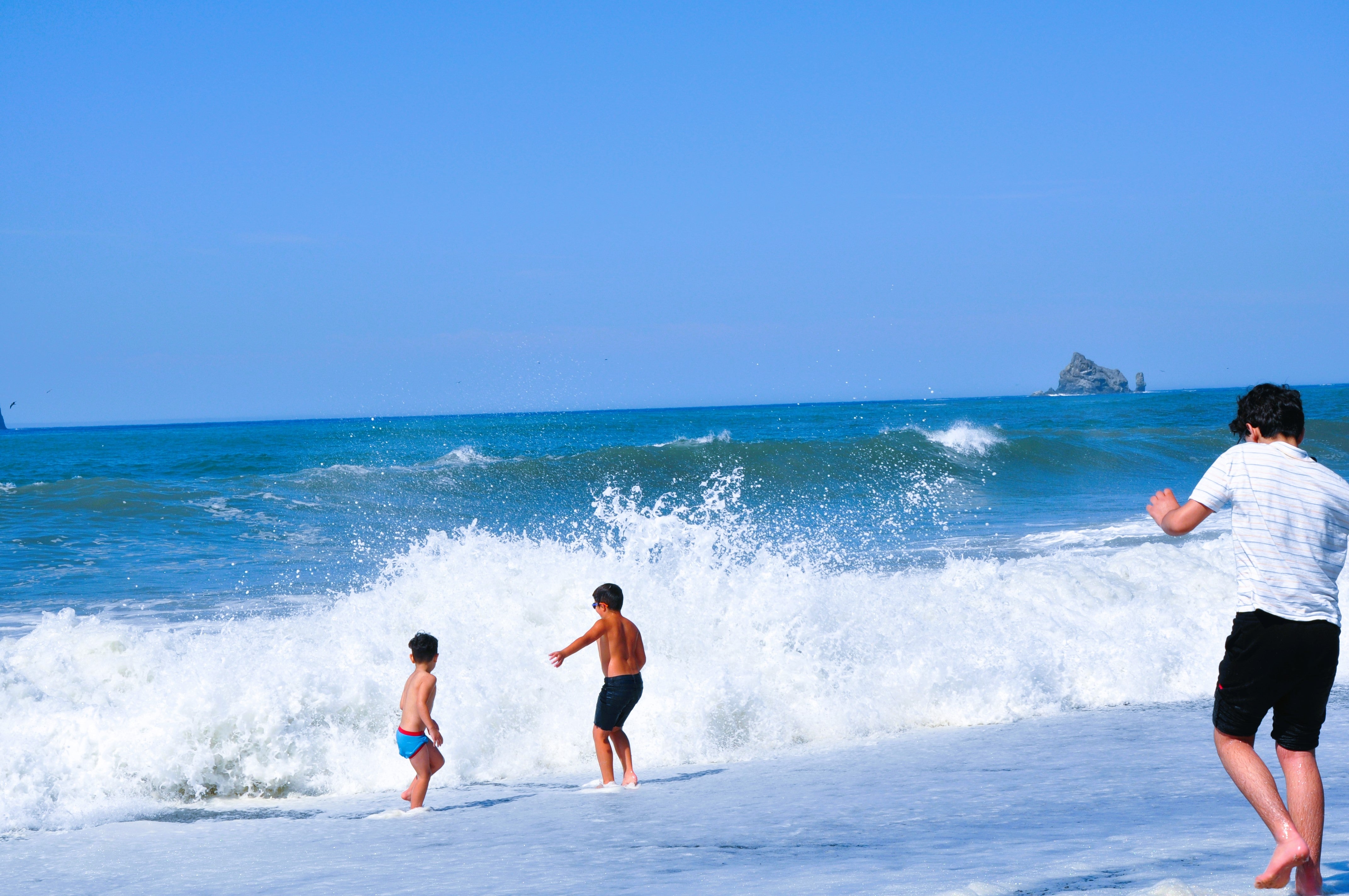 Olympic National Park Tour from Seattle – oktaytour.com Olympic national park tour